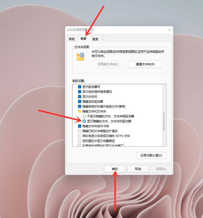 Windows 11隐藏文件夹如何显示？Windows 11查询隐藏文件的办法