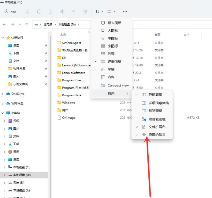 Windows 11隐藏文件夹如何显示？Windows 11查询隐藏文件的办法