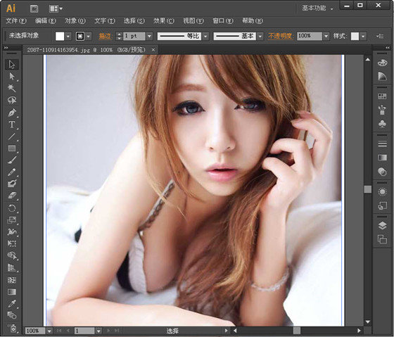 Adobe Illustrator CS5下载_人工智能 cs5标准版