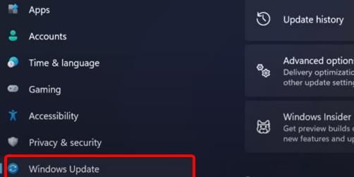 Windows 11指纹解锁用不了如何解决