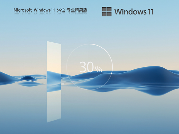 电脑公司 Windows 11 64位 深度精简版