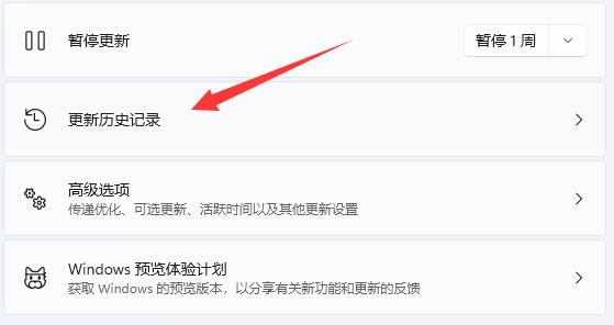 Windows 11更新后变卡了如何解决？更新Windows 11后电脑卡顿的解决方案
