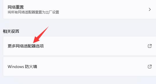 Windows 11Microsoft商店下载速度非常慢怎么办？